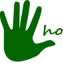 Hosting Hostgreen H100